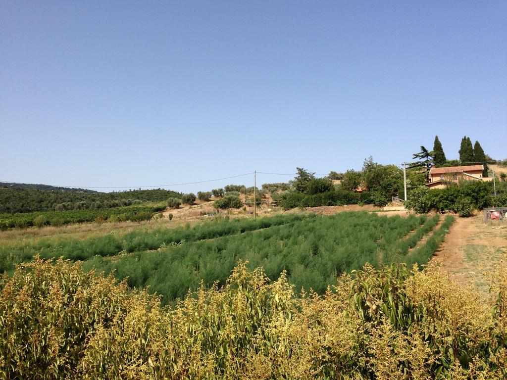 Agriturismo San Mauro Capalbio Ngoại thất bức ảnh
