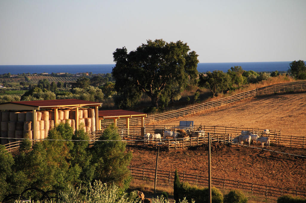 Agriturismo San Mauro Capalbio Ngoại thất bức ảnh