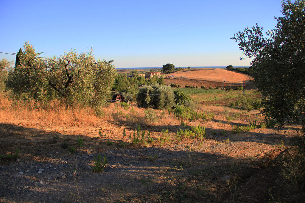 Agriturismo San Mauro Capalbio Ngoại thất bức ảnh
